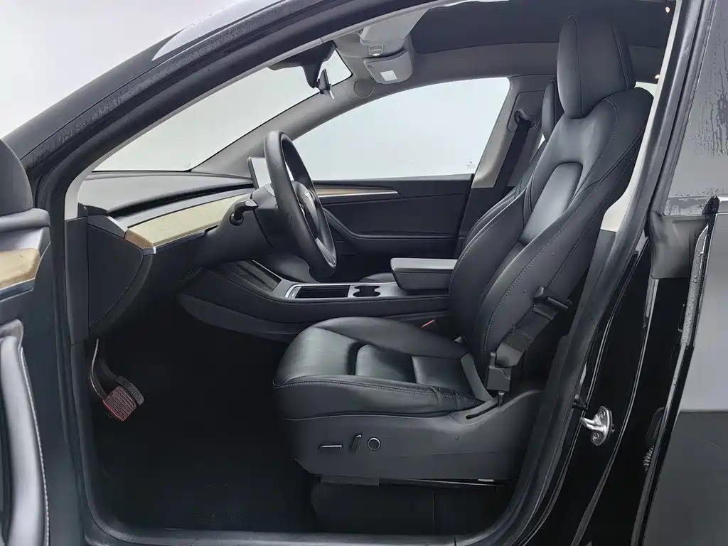 Tesla Model Y — миниатюра 10