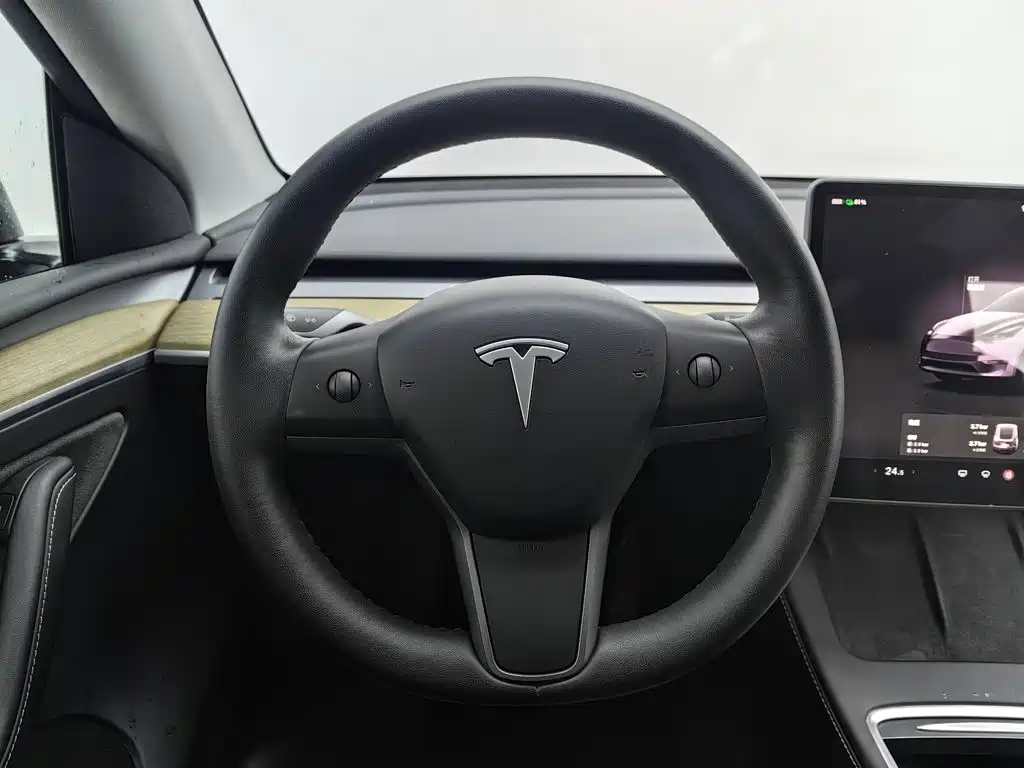 Tesla Model Y — миниатюра 11
