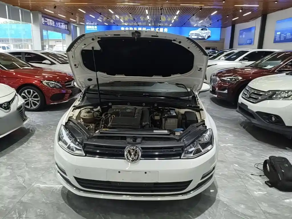 Volkswagen Golf — миниатюра 20
