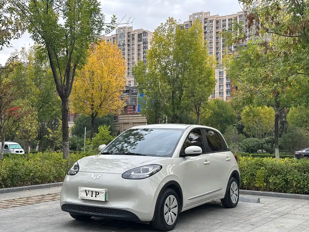 Wuling Bingo