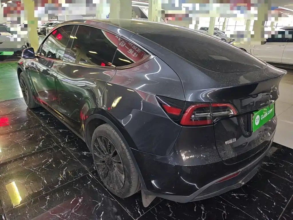 Tesla Model Y — миниатюра 5