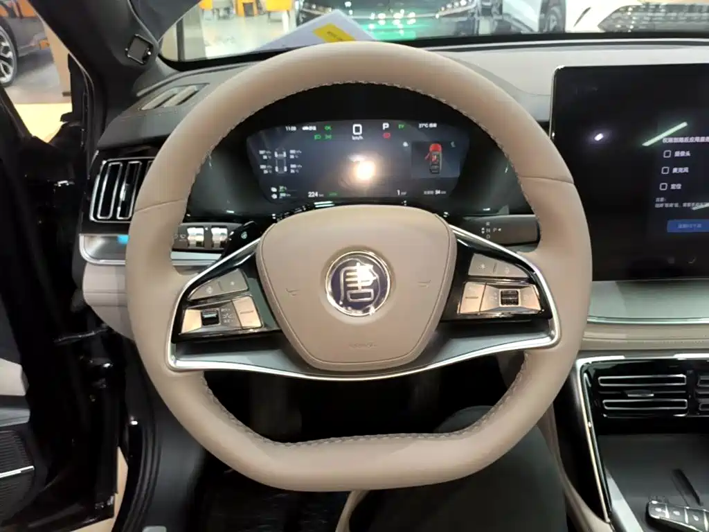 BYD Tang New Energy — миниатюра 7