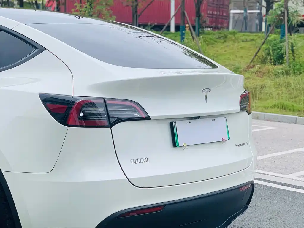 Tesla Model Y — миниатюра 11