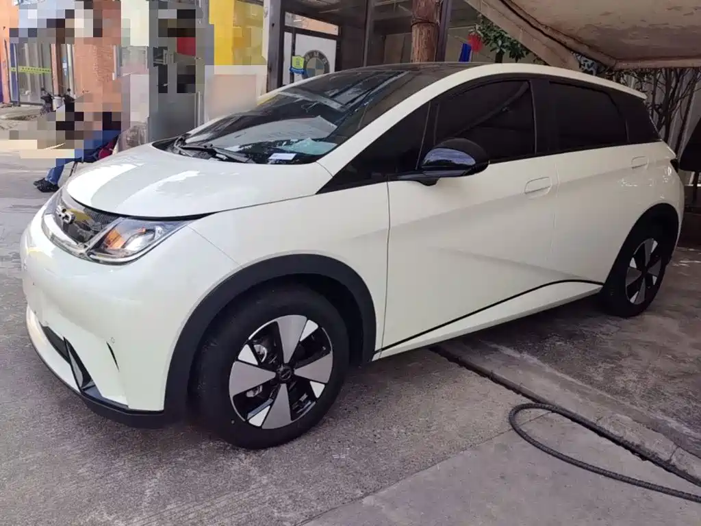 BYD Dolphin