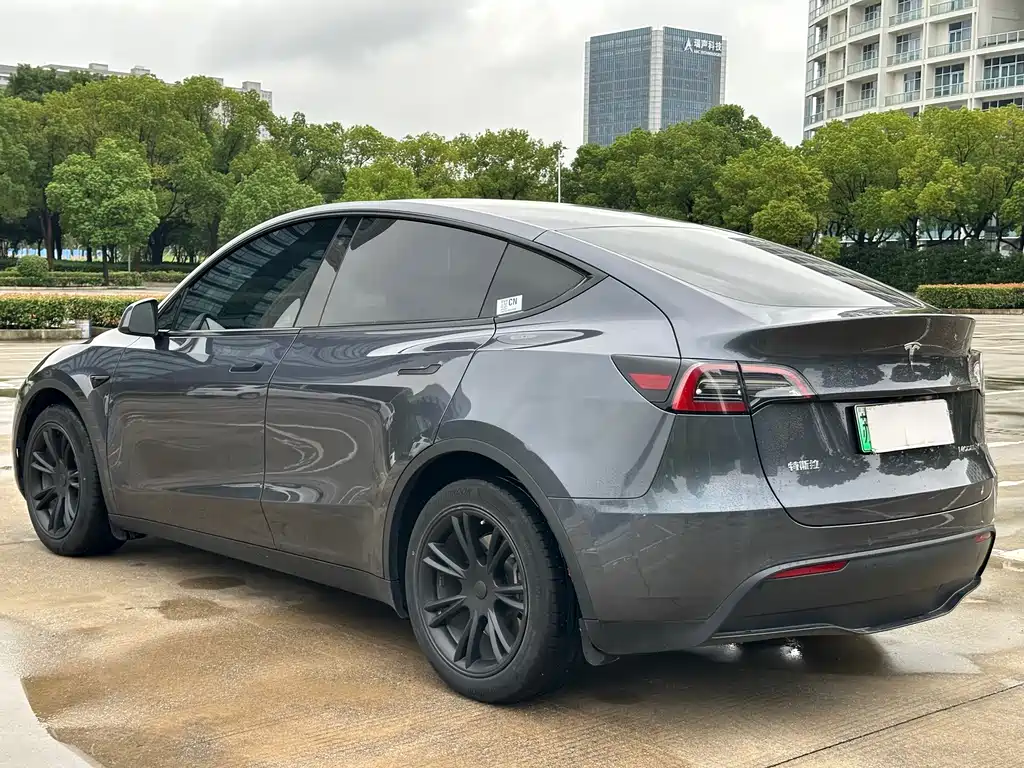 Tesla Model Y — миниатюра 18