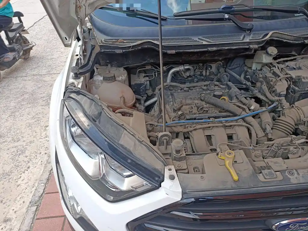 Ford Ecosport — миниатюра 21