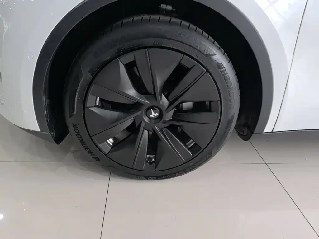 Tesla Model Y — миниатюра 23
