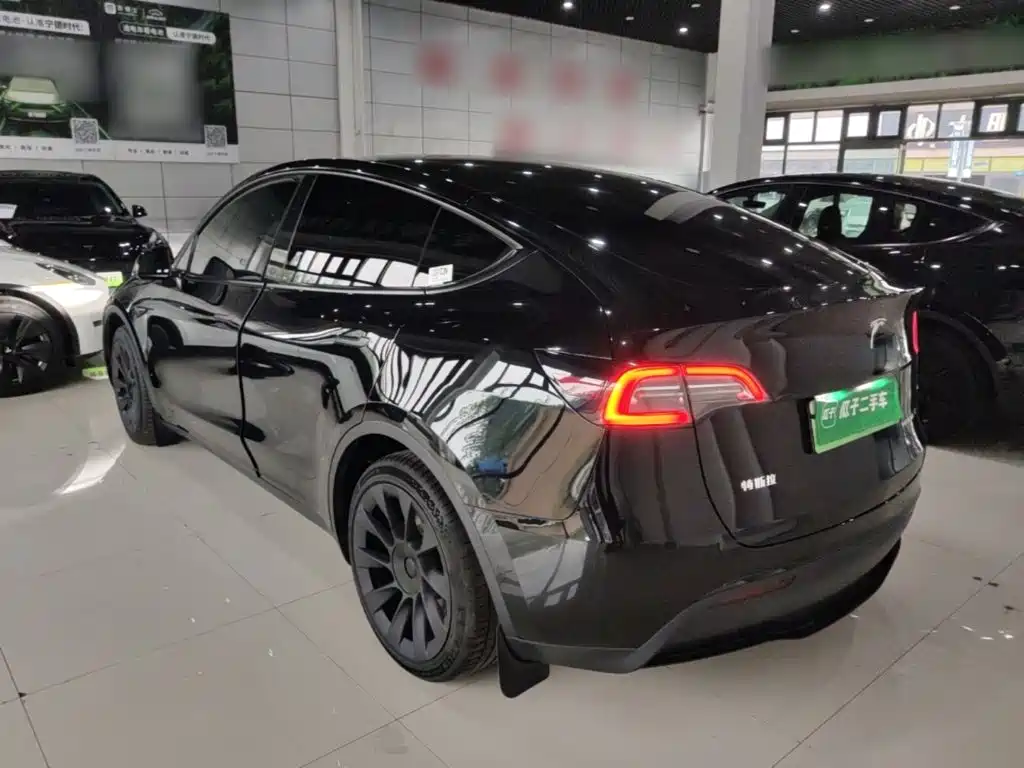 Tesla Model Y — миниатюра 5