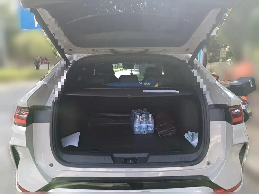 BYD PLUS New Energy — миниатюра 10