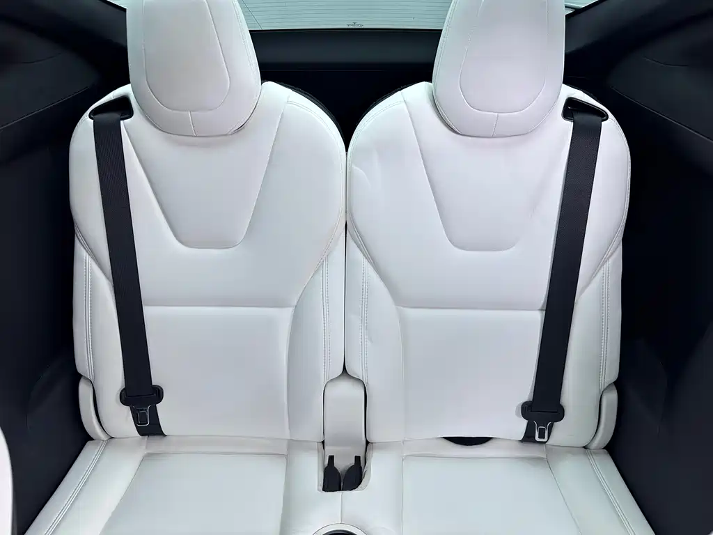 Tesla Model X — миниатюра 16