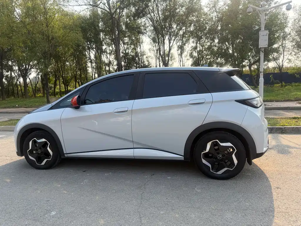 BYD Dolphin — миниатюра 2