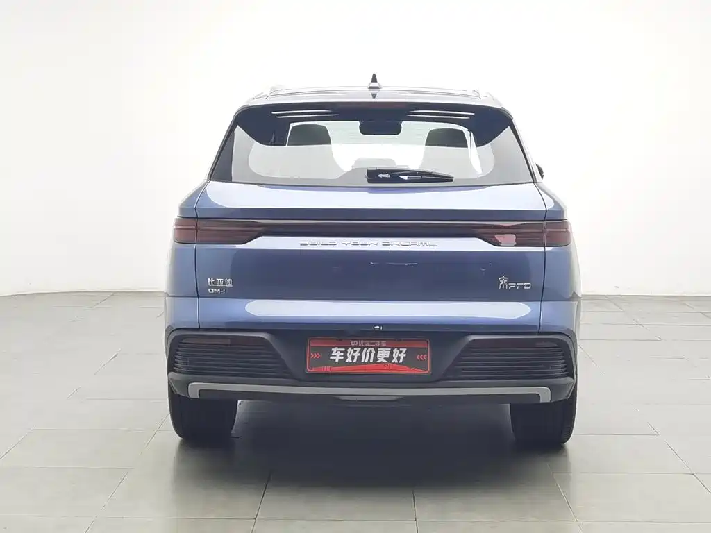 BYD Pro New Energy — миниатюра 4