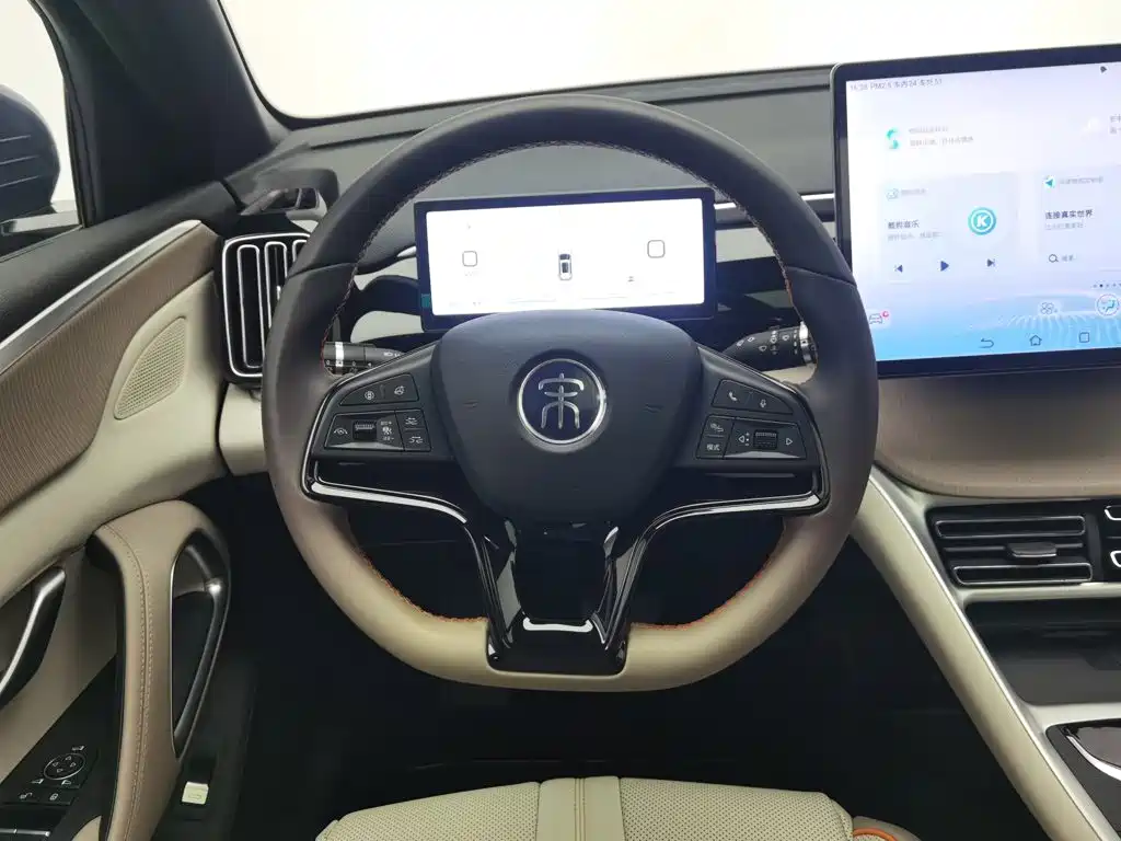 BYD Pro New Energy — миниатюра 11
