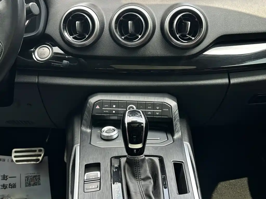 Wey Wey P8 — миниатюра 11