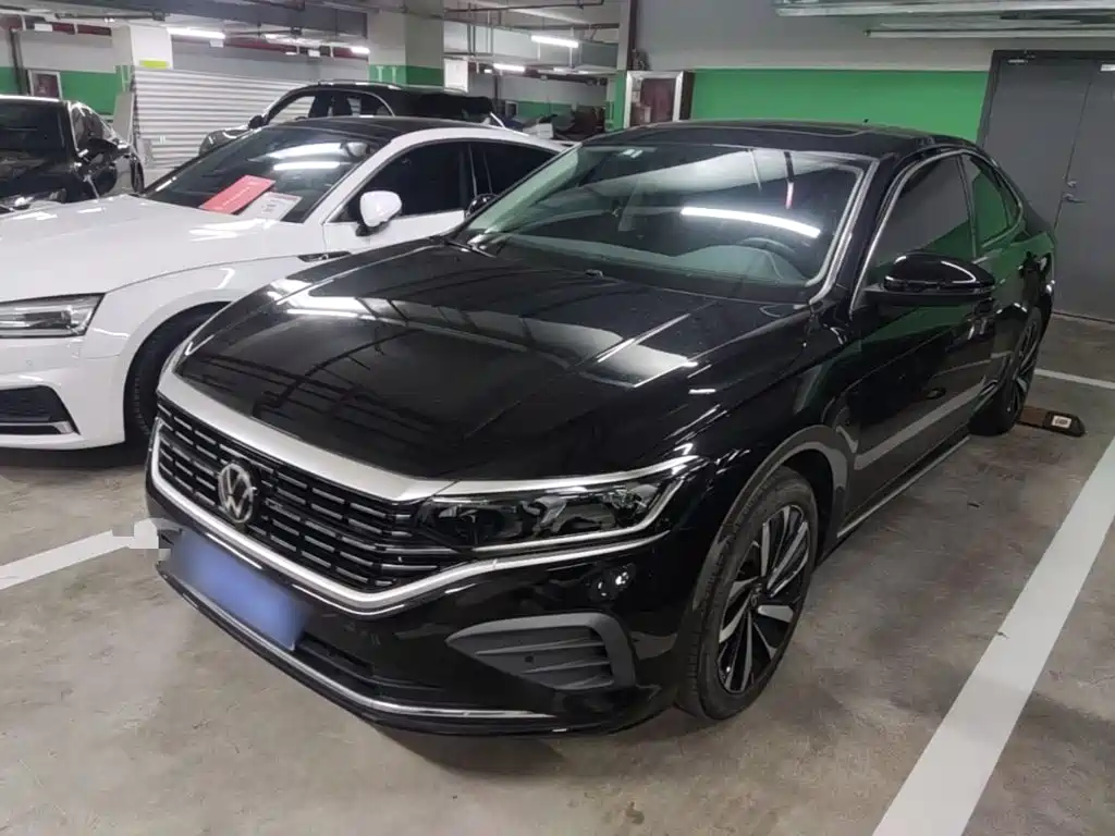 Volkswagen Passat — миниатюра 2