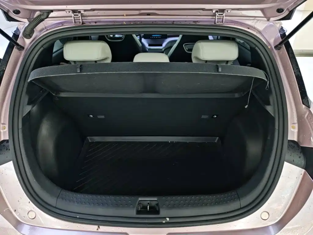 BYD Dolphin — миниатюра 19