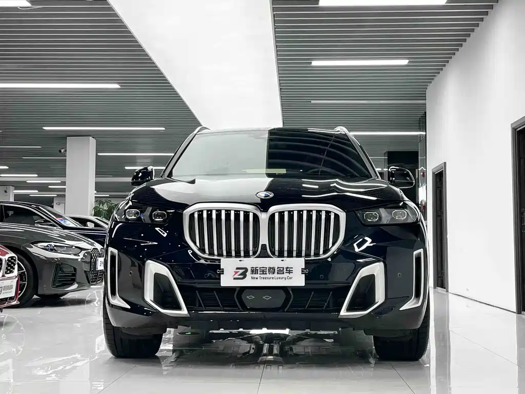 BMW X5 — миниатюра 2