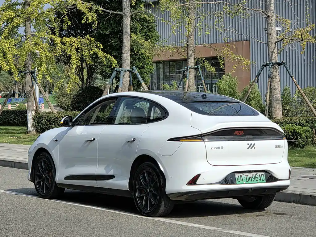 IM IM LS6 — миниатюра 7