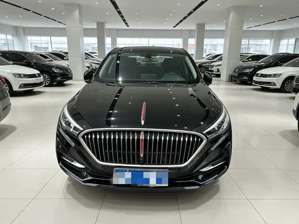 Hongqi Hongqi H5 2021