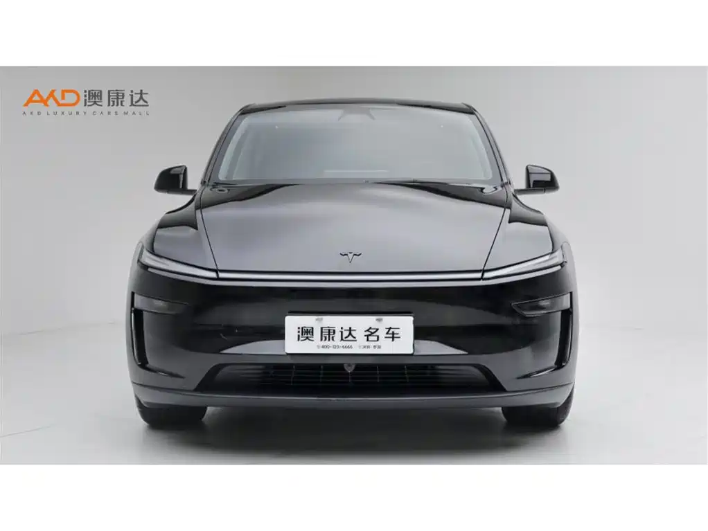 Tesla Model Y — миниатюра 2