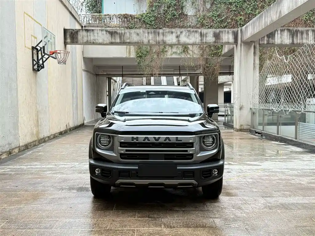 HAVAL BIG DOG