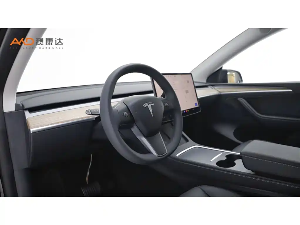 Tesla Model Y — миниатюра 6