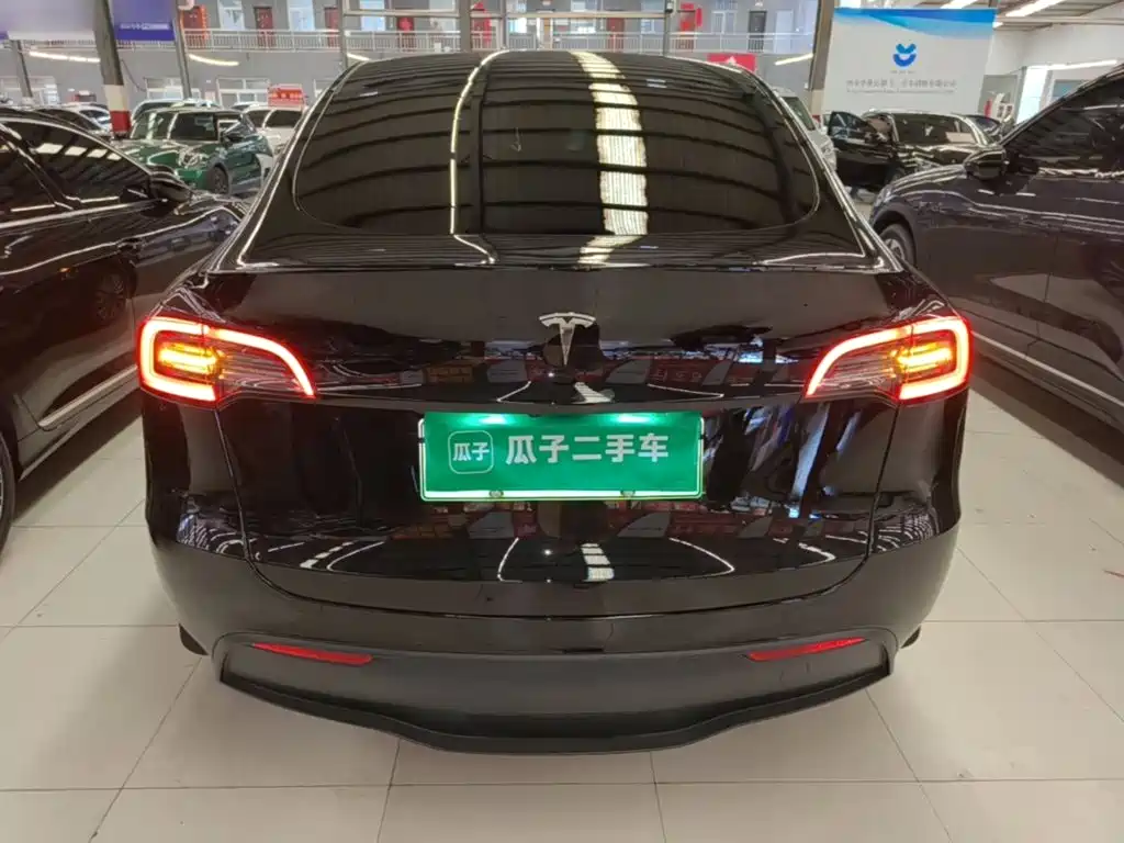 Tesla Model Y — миниатюра 6