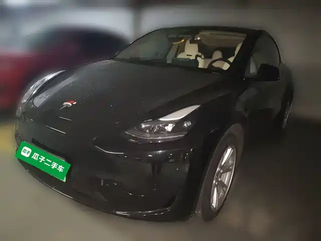 Tesla Model