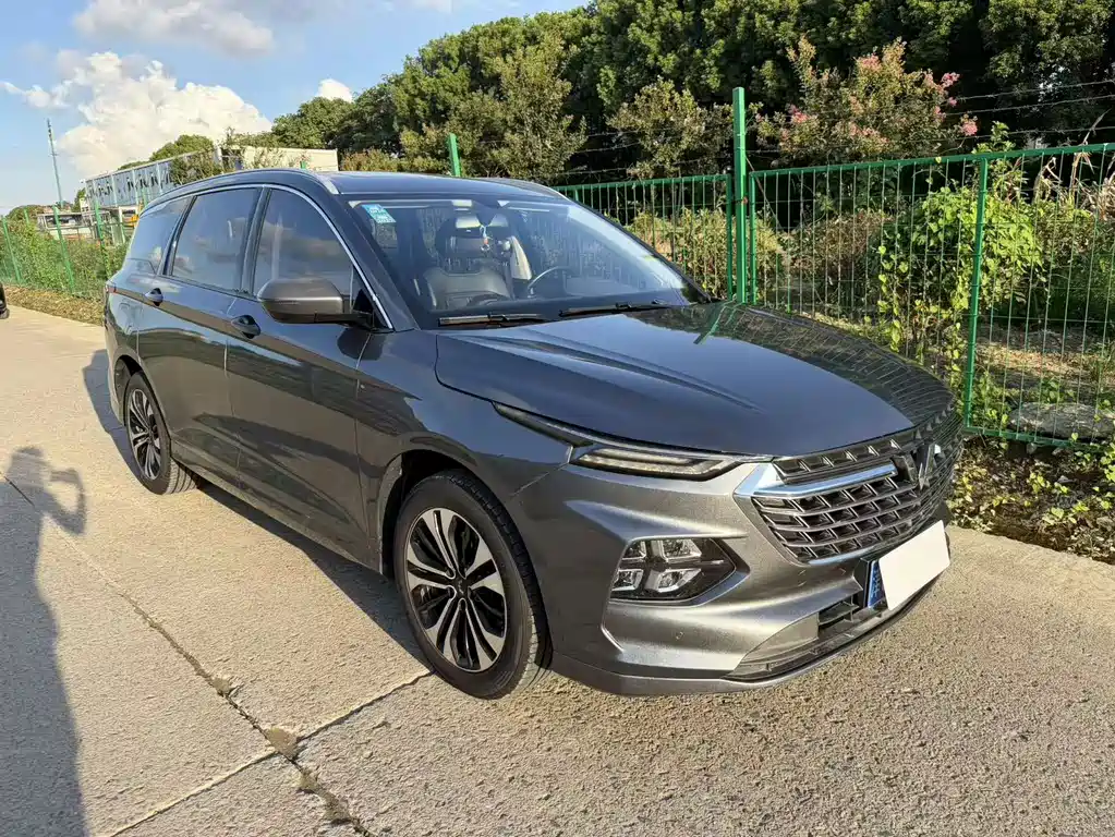 Wuling Victory — миниатюра 2