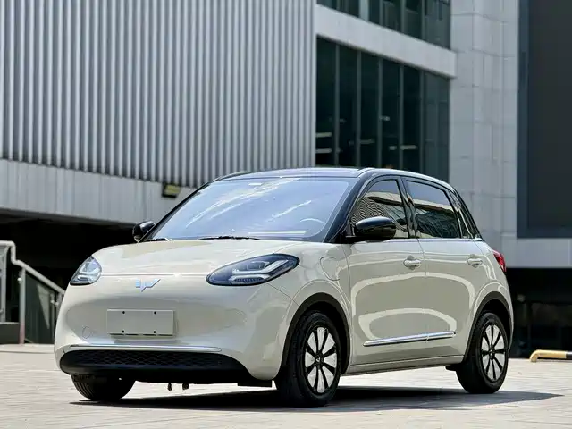 WULING WULING BINGGUO 2023