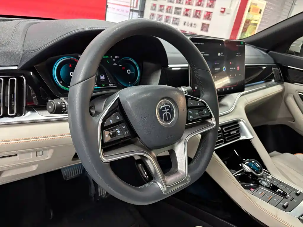 BYD PLUS New Energy — миниатюра 17
