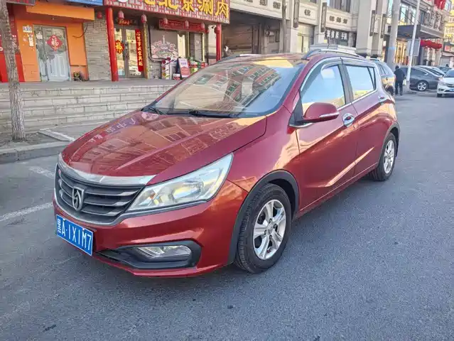 BAOJUN 310