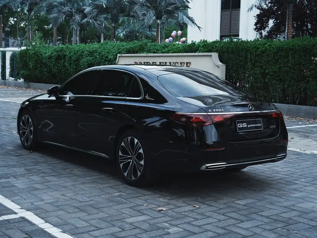 Mercedes-Benz E-Class E 2025 E 300 L Luxury