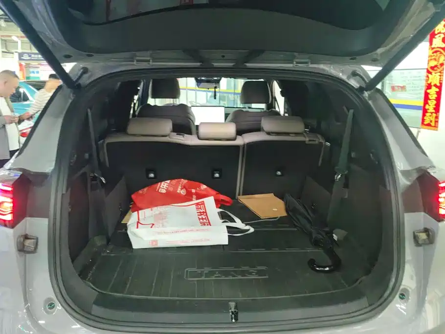 BYD Tang New Energy — миниатюра 4
