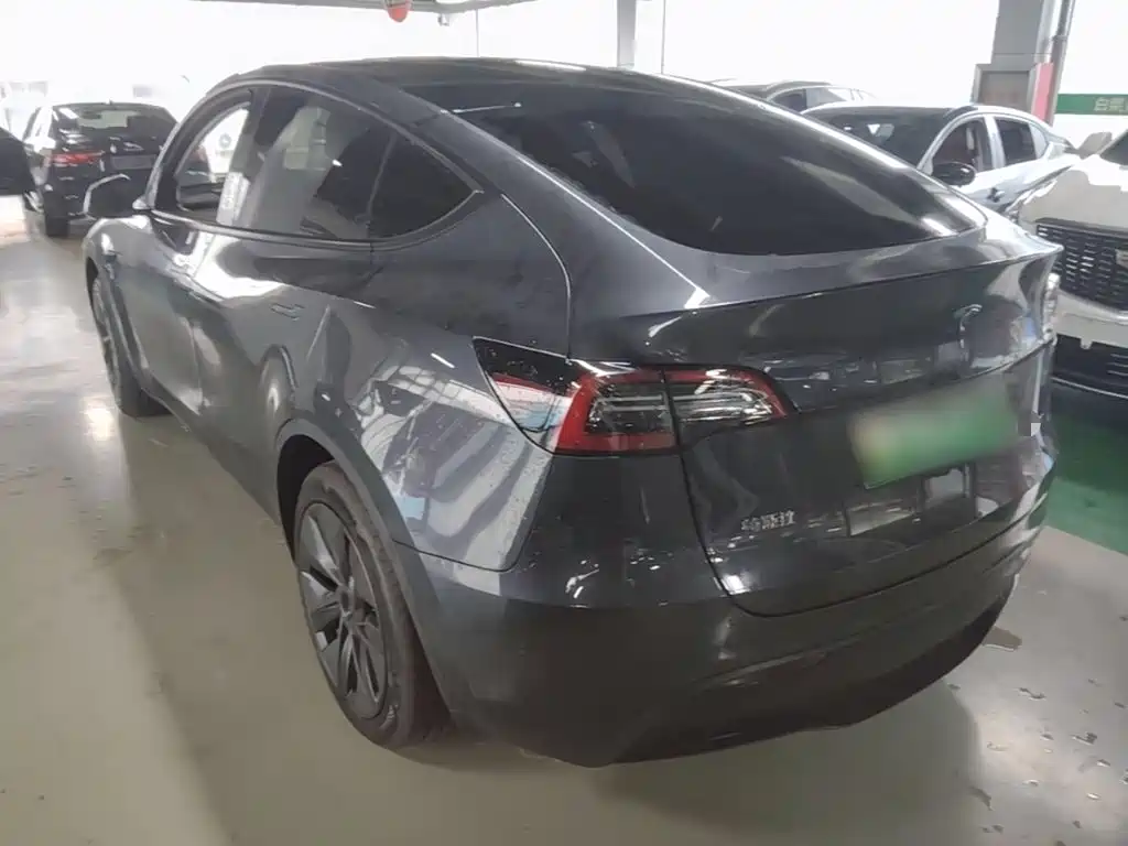 Tesla Model Y — миниатюра 5