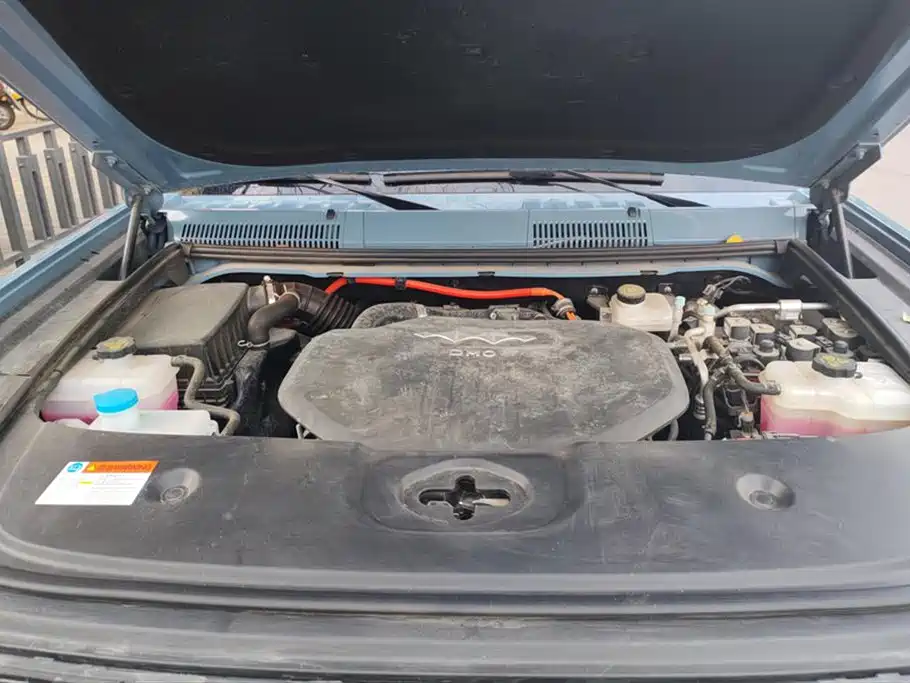 FANG CHENG BAO LEOPARD 5