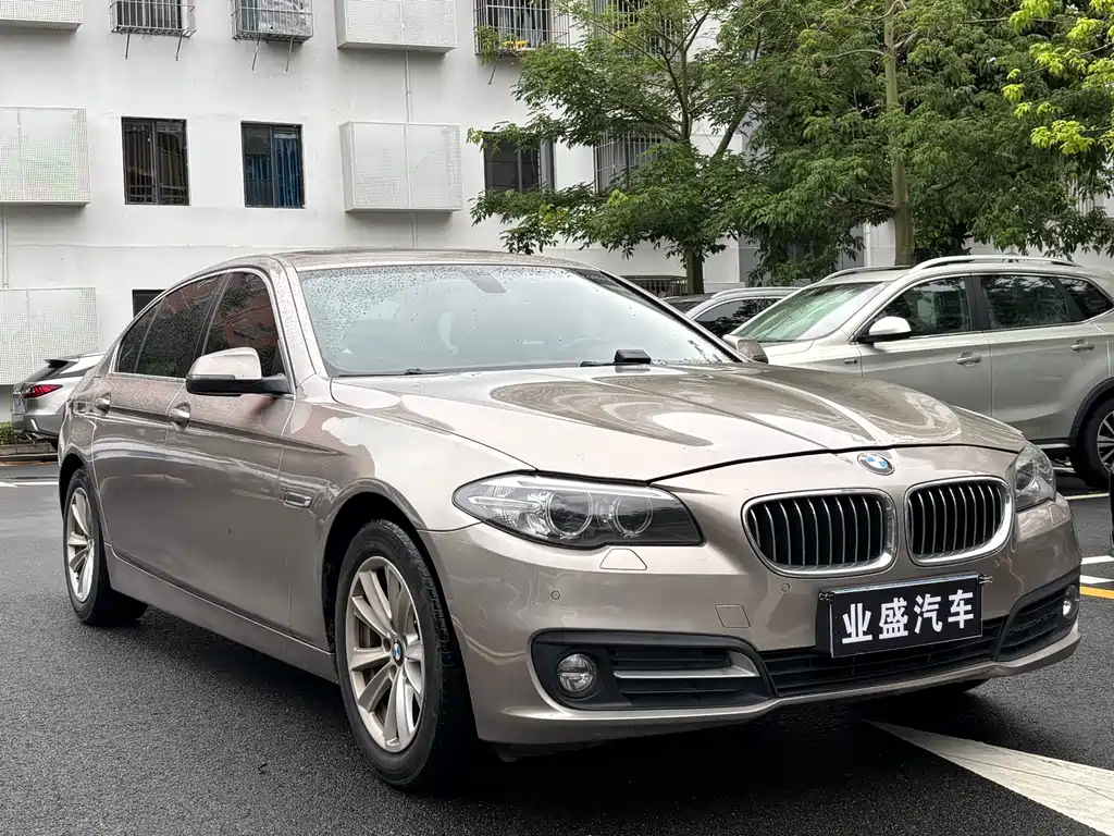 BMW 5 Series 5 2017 520Li Elegant