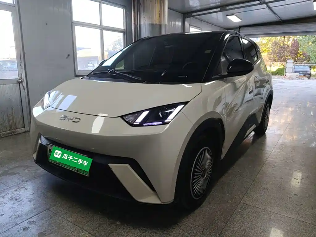 BYD Seagull