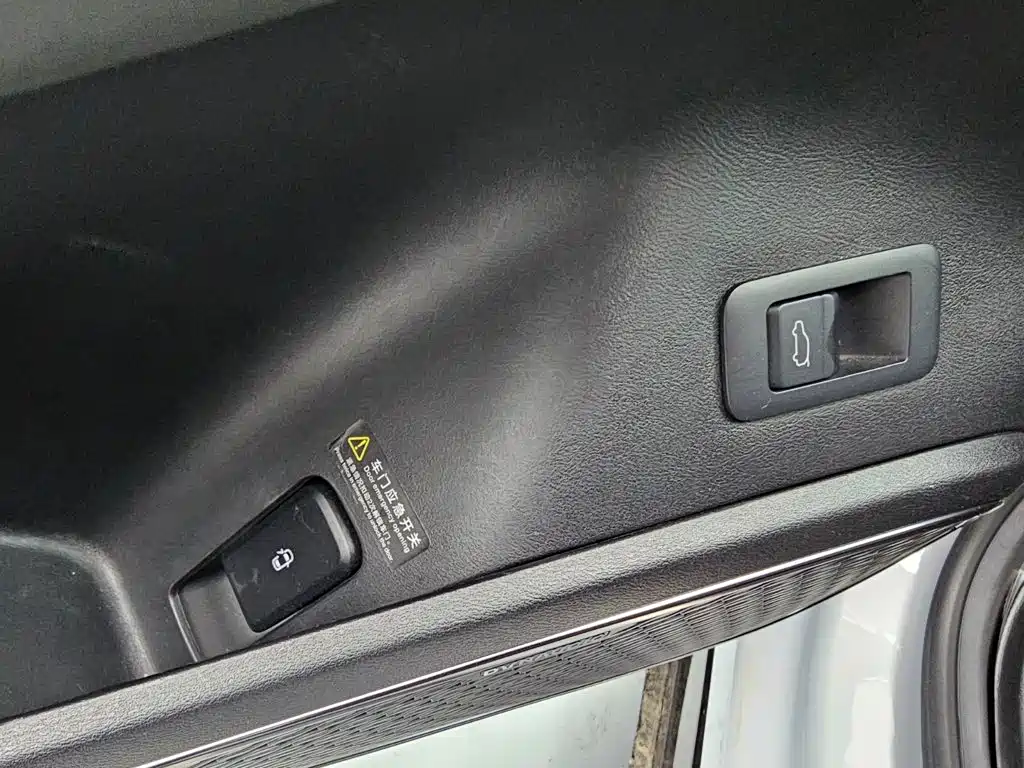 BYD L EV — миниатюра 14