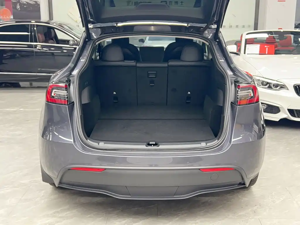 Tesla Model Y — миниатюра 26