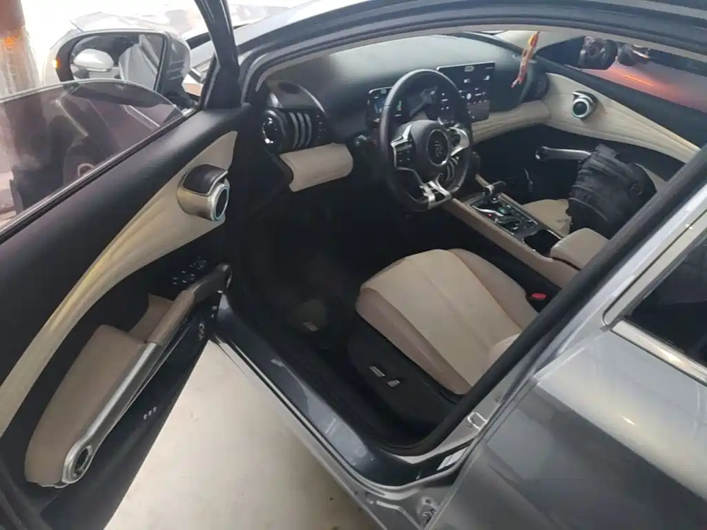 BYD Yuan Plus — миниатюра 16