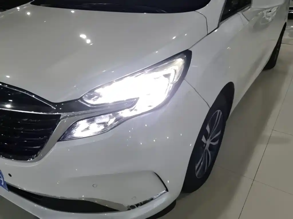 Buick GL8 — миниатюра 24