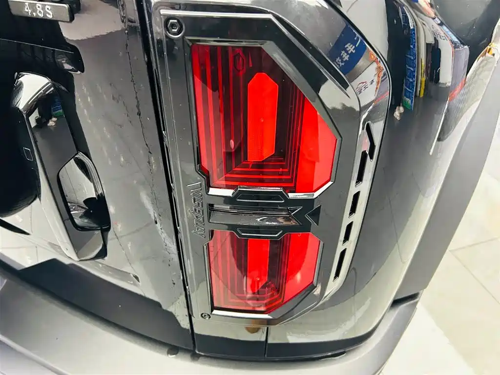 FANG CHENG BAO LEOPARD 5