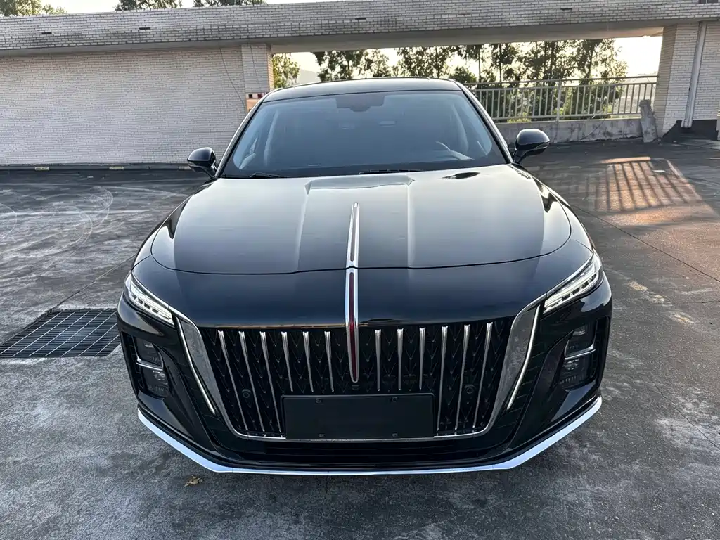 Hongqi Hongqi H5 — миниатюра 2
