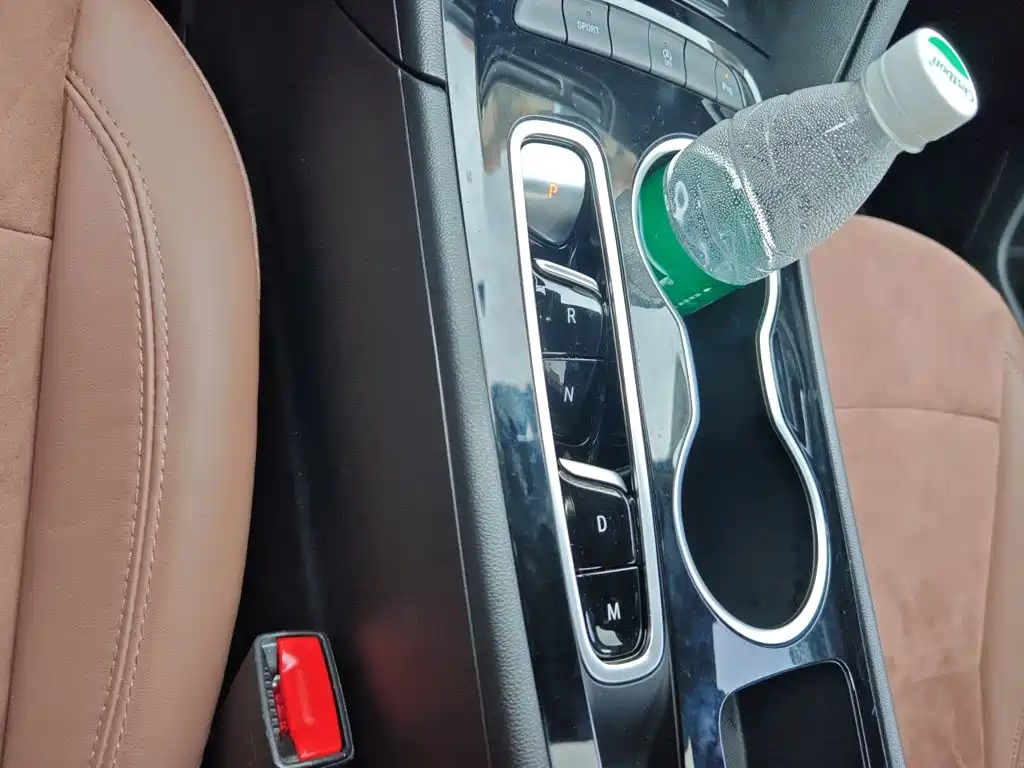 Buick Regal — миниатюра 15
