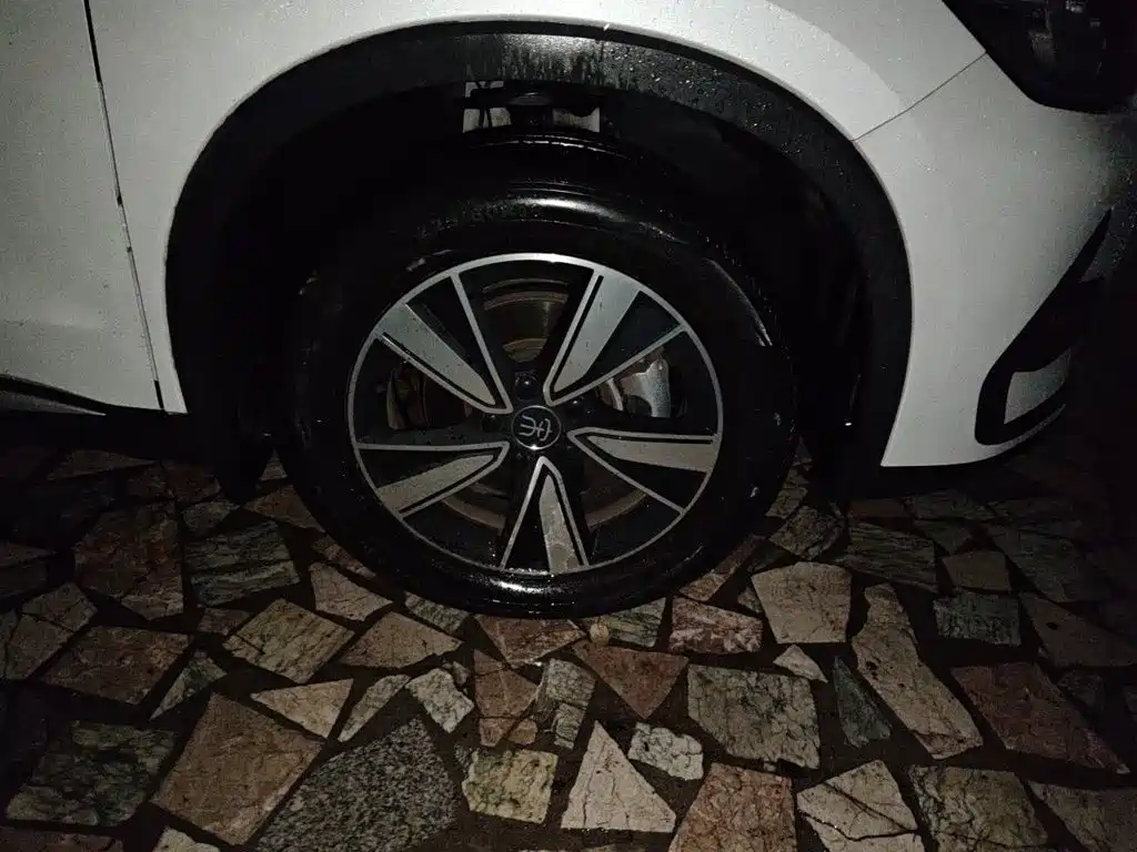 BYD Pro New Energy — миниатюра 24