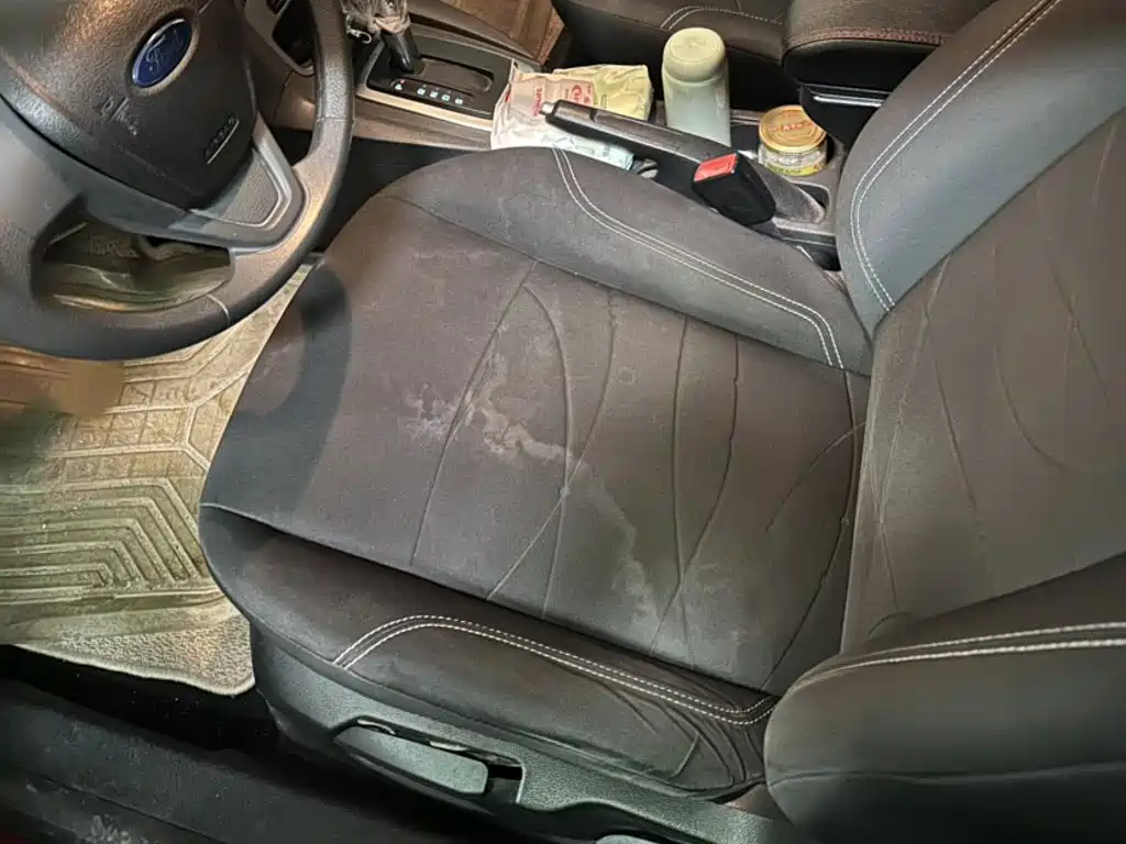 Ford Fiesta — миниатюра 10