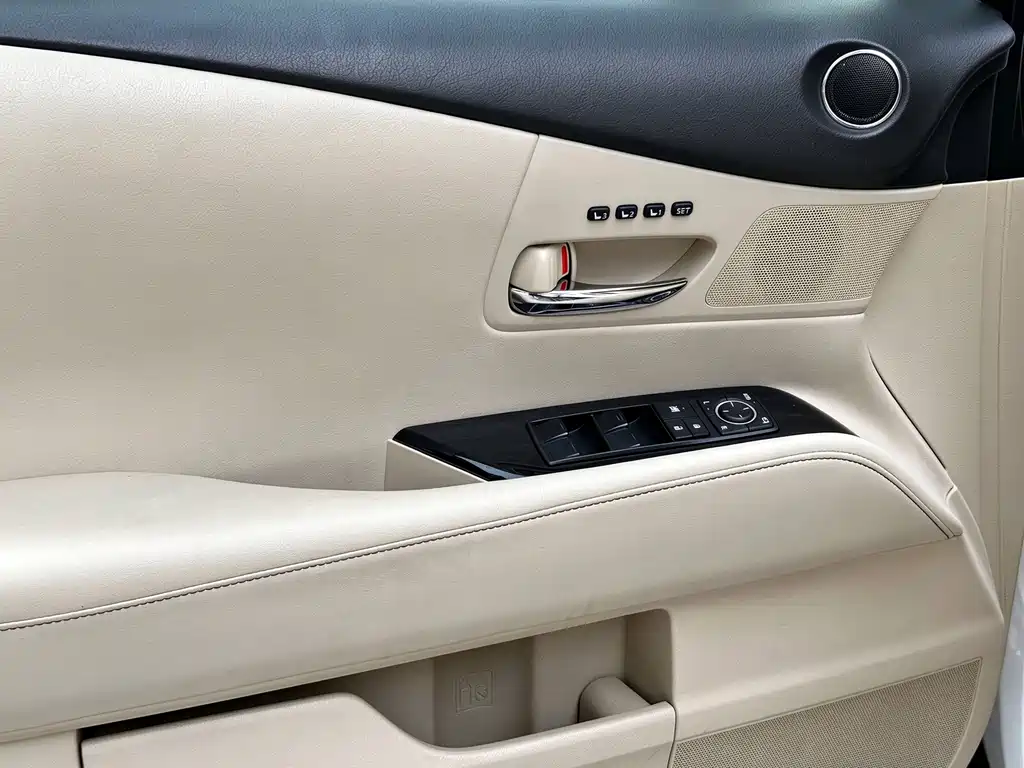 Lexus RX Classic — миниатюра 19