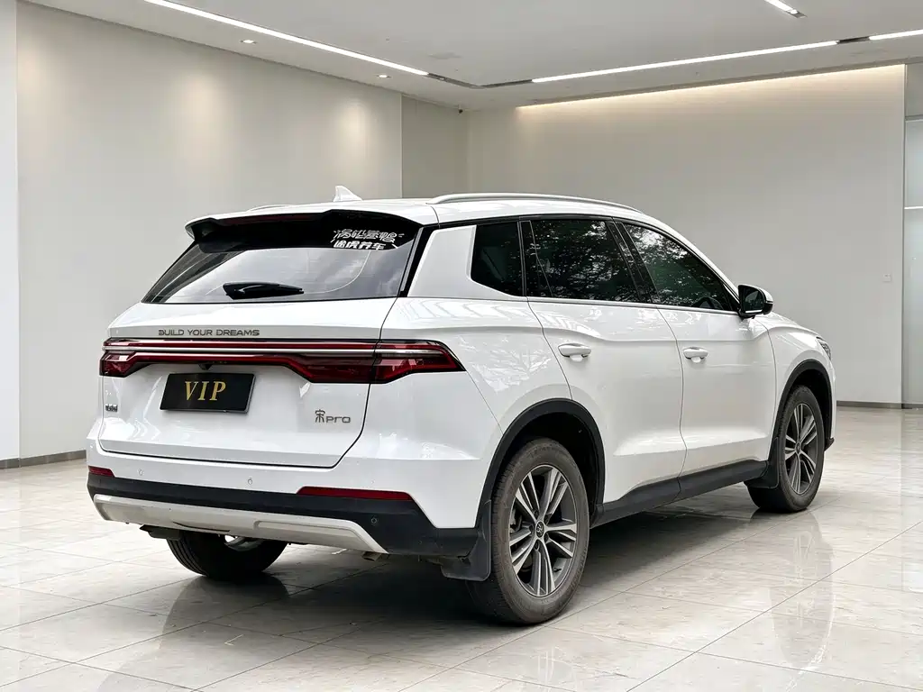 BYD Pro — миниатюра 4