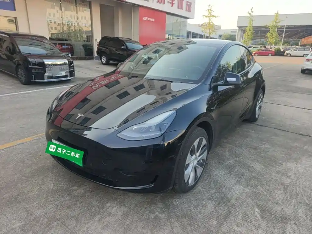 Tesla Model Y — миниатюра 2
